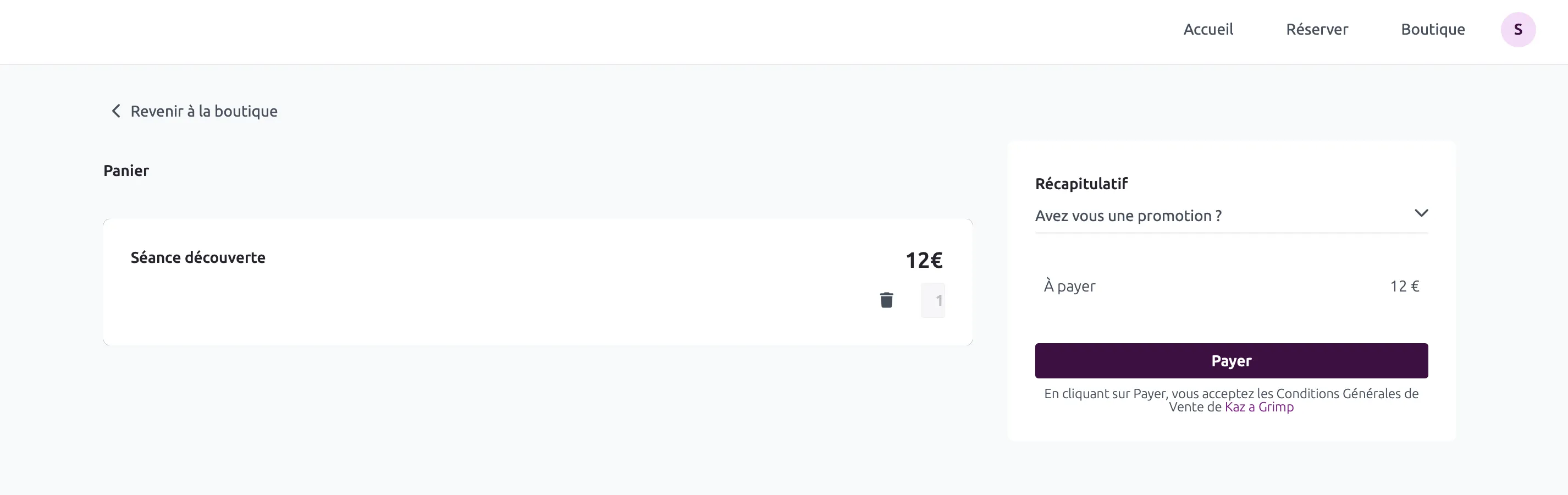 Le panier Deciplus avec la séance découverte à 12 € et le bouton Payer